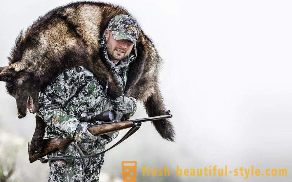 Vinter jagt når sæsonen åbner, tips til begyndere, især udstyr