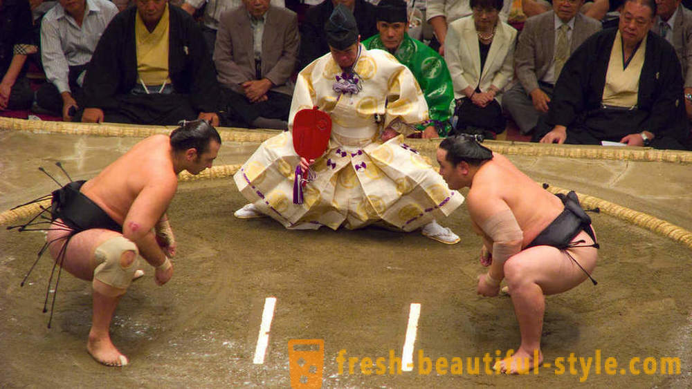 Sumo Wrestling: historie, regler, teknikker og er udstyret med den mest interessante fakta