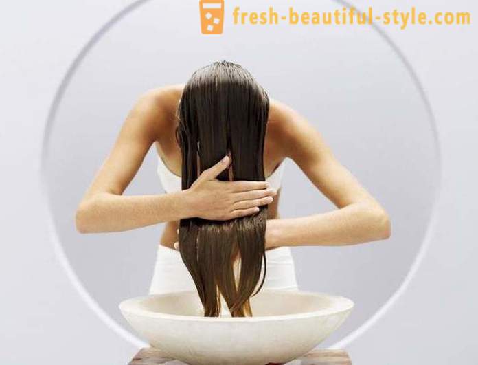 Effektiv shampoo til fedtet hår: anmeldelser, typer og fabrikanter