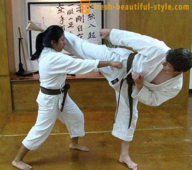 Japanske typer af kampsport: beskrivelsen, karakteristika og interessante fakta