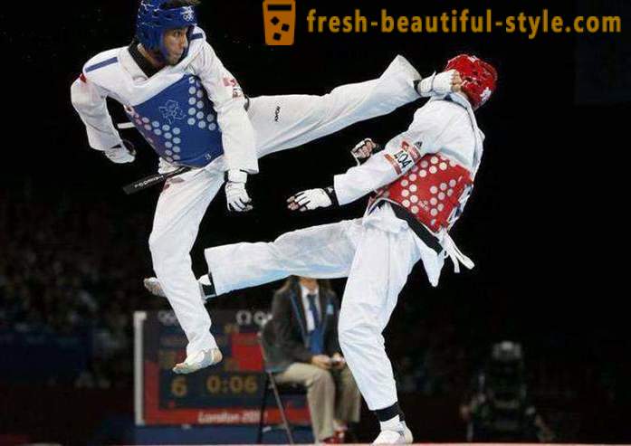 Hvad er Taekwondo? Beskrivelse og reglerne for kampkunst