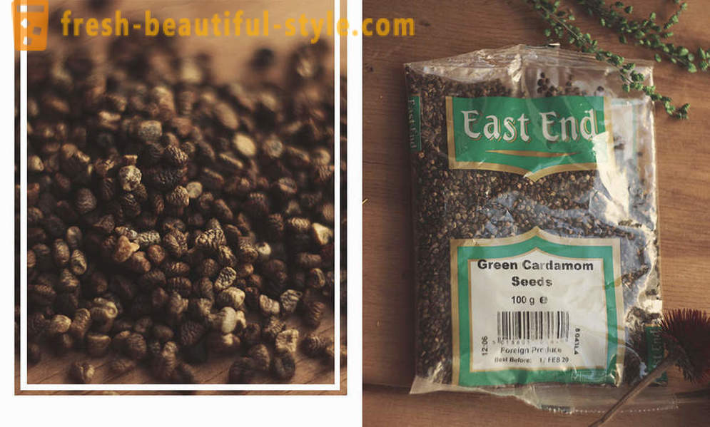 Guide krydderier: 9 eksotiske krydderier fra Indien