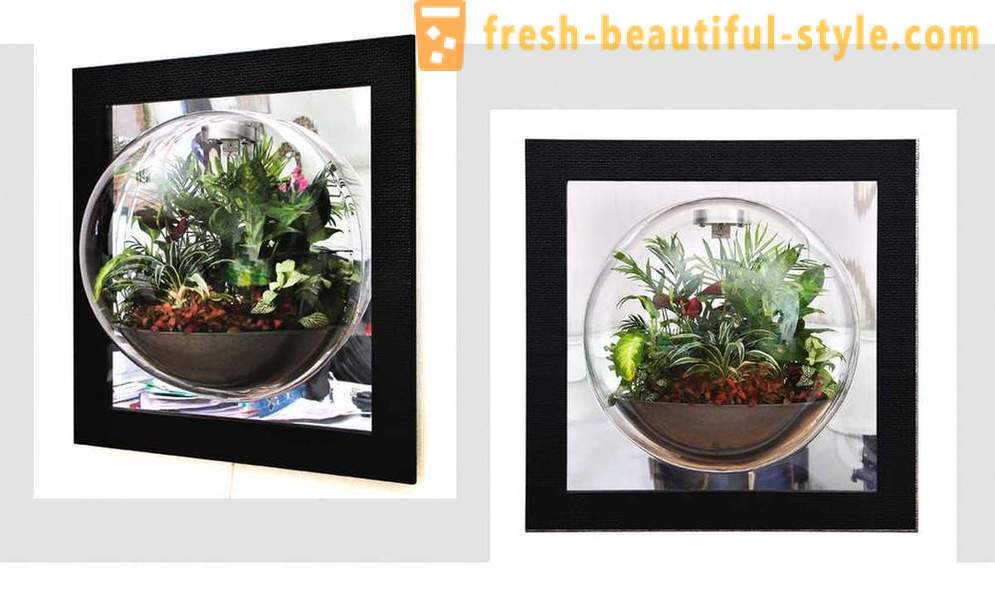 7 florariumov elegant til din stue