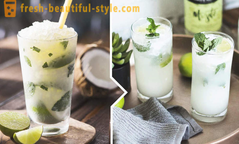 9 opskrifter sommer mojito