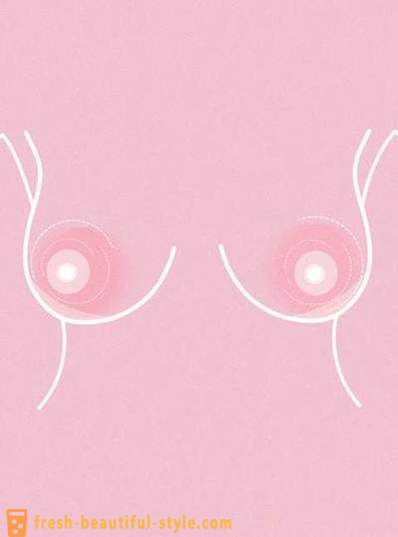 11 nyttige ting at vide om brystvorter