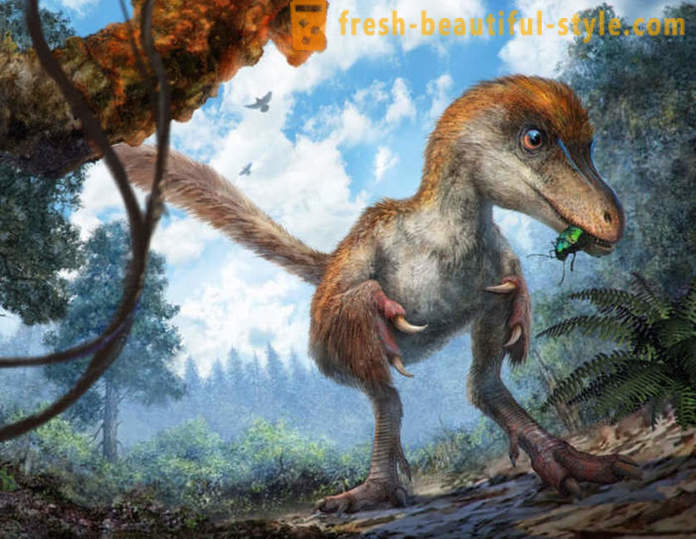 Unikke fund i forbindelse med dinosaurer