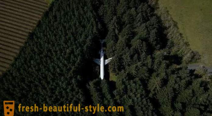 Amerikansk, 15 leveår i et fly midt i skoven