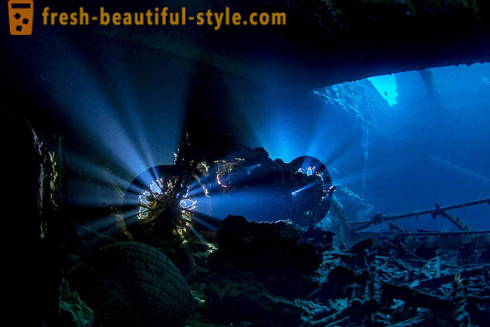 Utrolig optagelser af undervandsfotografering konkurrencevindere