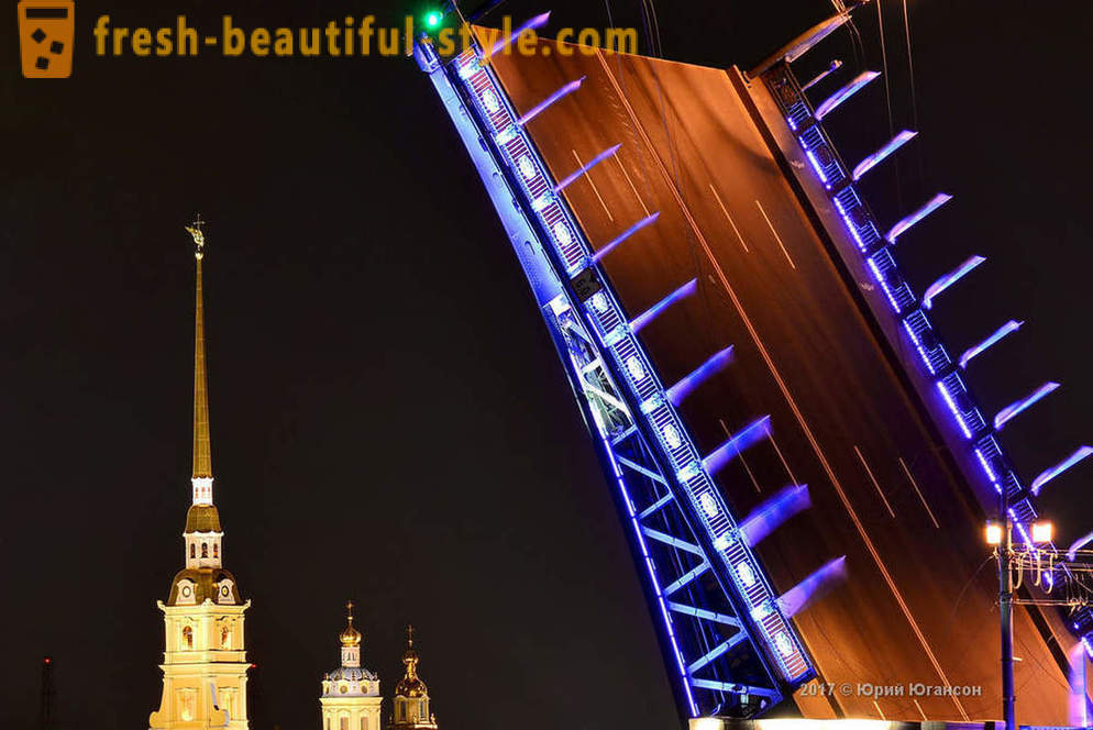 Magic skønhed af St. Petersburg broer