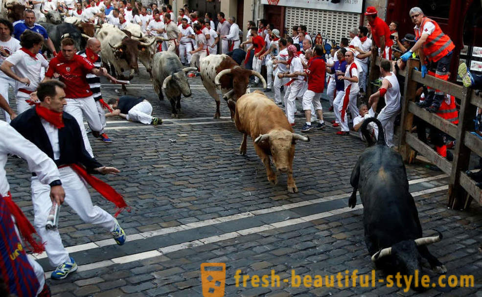 Hvordan var den årlige driften af ​​tyre i Pamplona, ​​Spanien