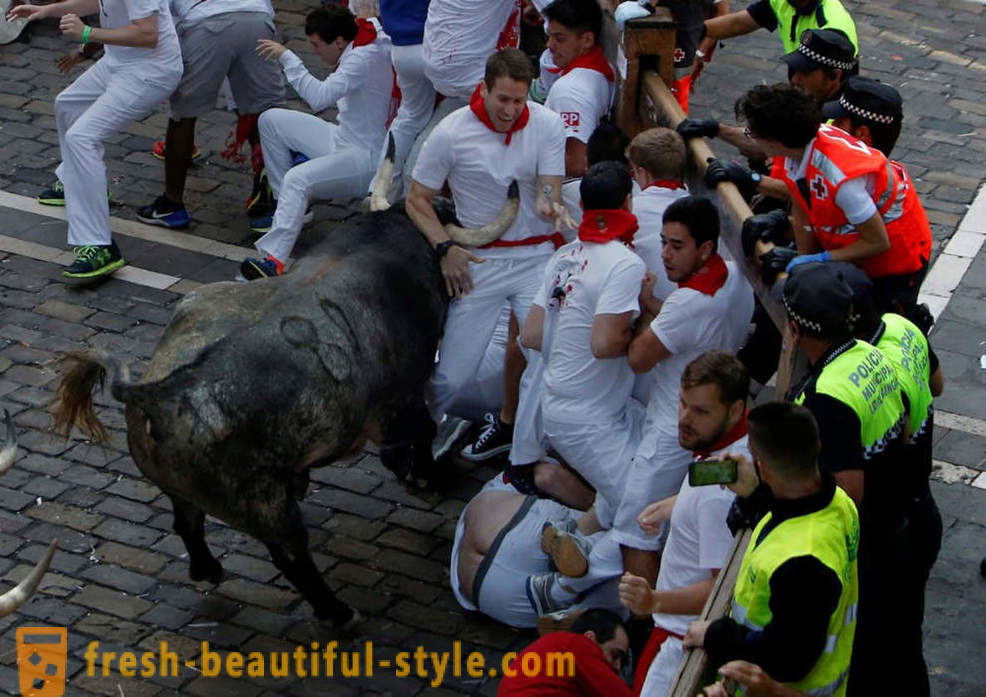 Hvordan var den årlige driften af ​​tyre i Pamplona, ​​Spanien