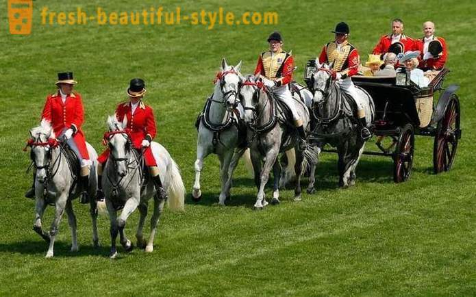 Britiske high society til hestevæddeløb på Ascot