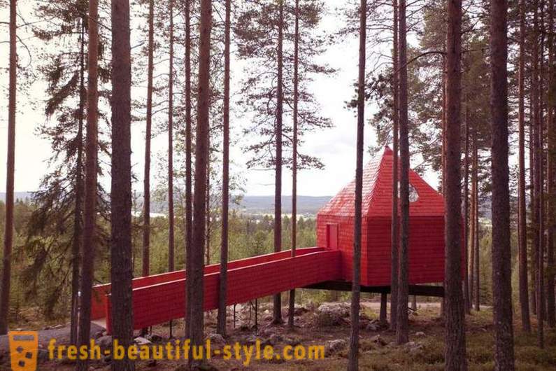 Usædvanlige hotel med værelser på træerne