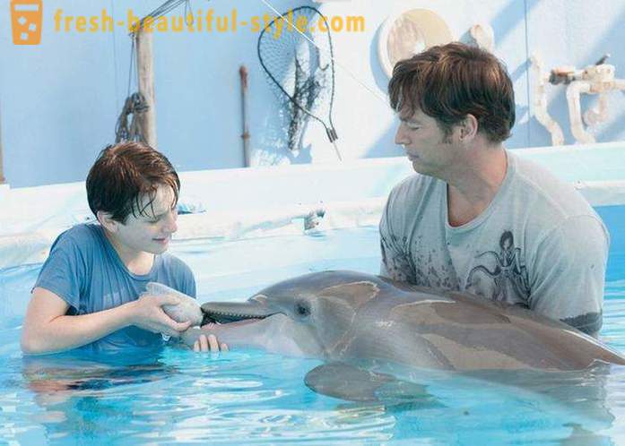 Et udvalg af film om delfiner
