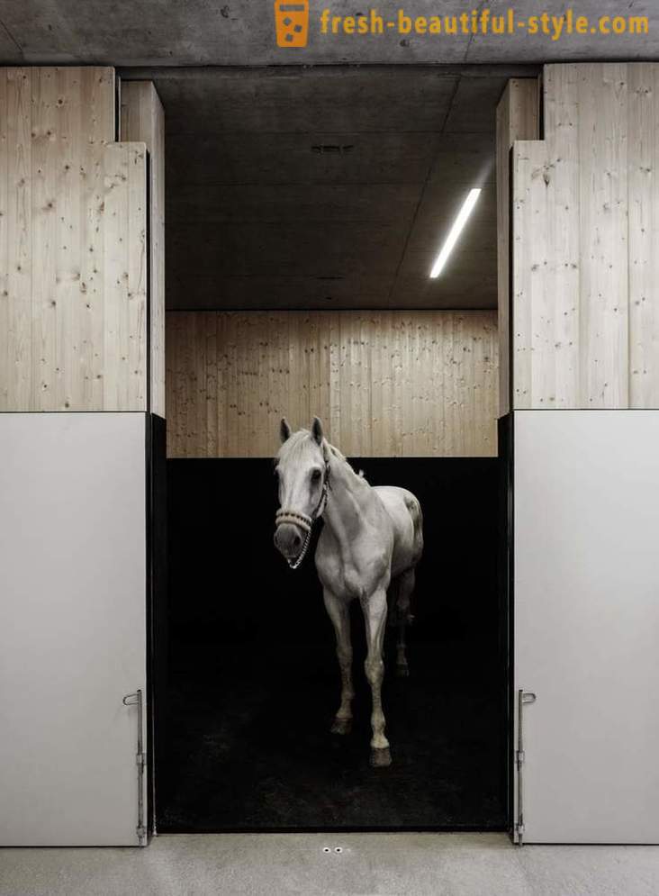 Design af den veterinære klinik for heste i Østrig