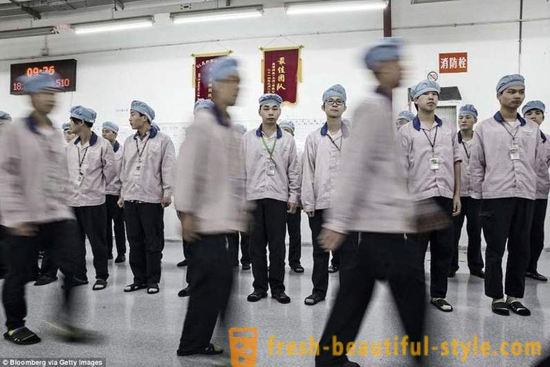 Britiske medier viste det daglige liv af mennesker, der samler iPhone i Kina