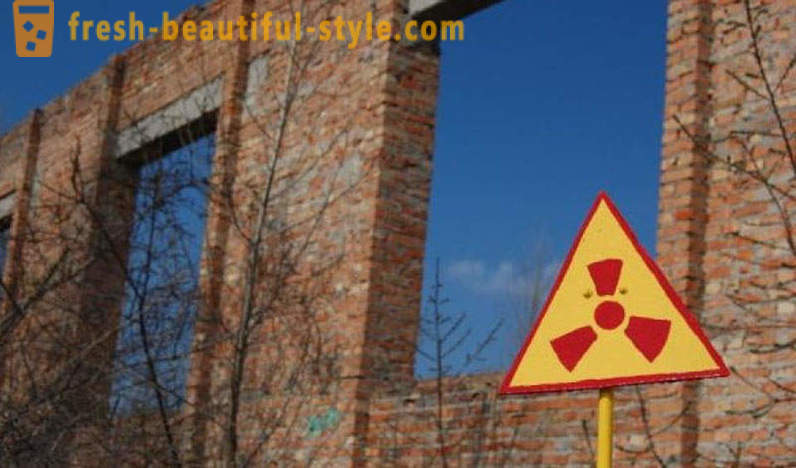 Nuklear kurv: hvad vokser i Tjernobyl