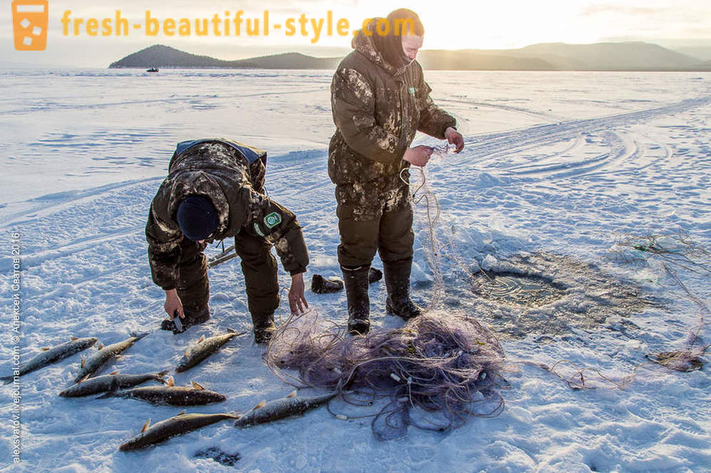 Hvordan rybinspektory på Baikal
