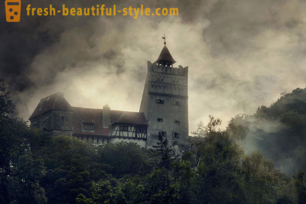 Slot Dracula: Transsylvanien visitkort
