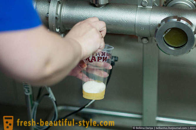 Hvordan laver øl i Altai Territory