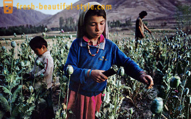 Afghanistan gennem linsen af ​​Steve Mc Curry