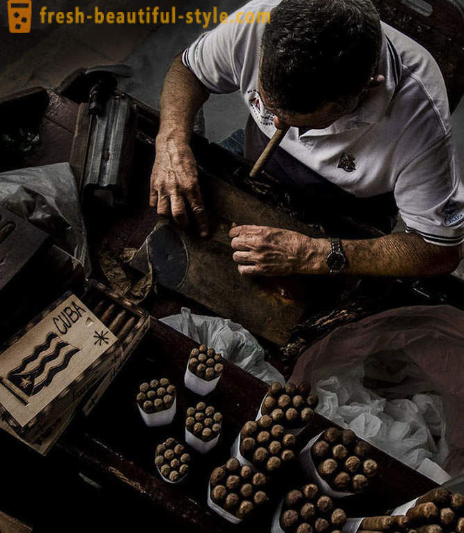Processen med at skabe de bedste af cubanske cigarer