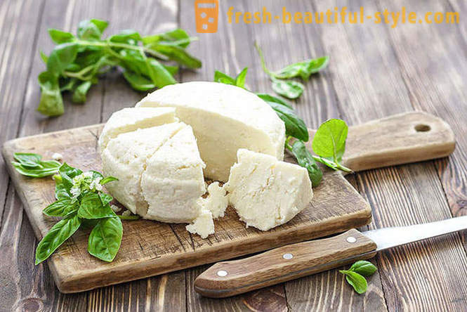 10 praktiske tips om, hvordan man spiser ost og ikke få fedt