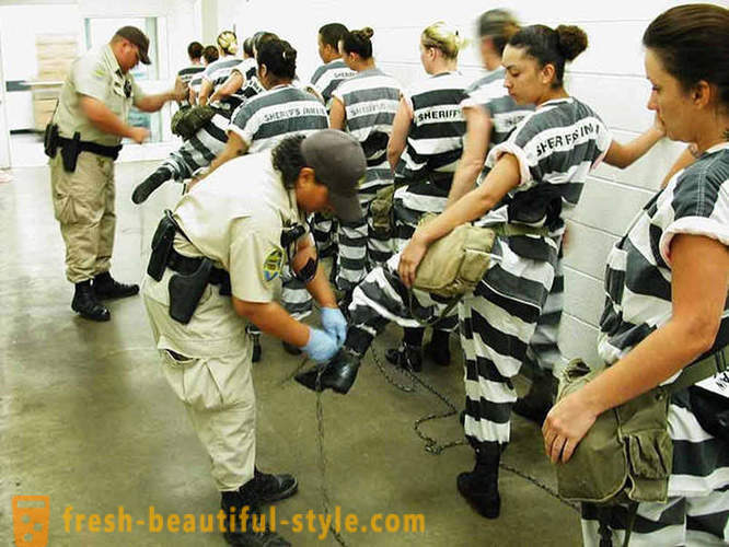 Hverdage kvindelige fanger i et amerikansk fængsel