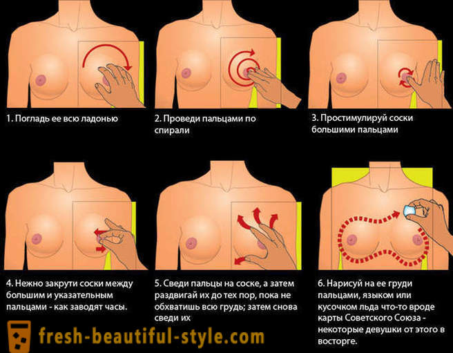Guide til det kvindelige bryst