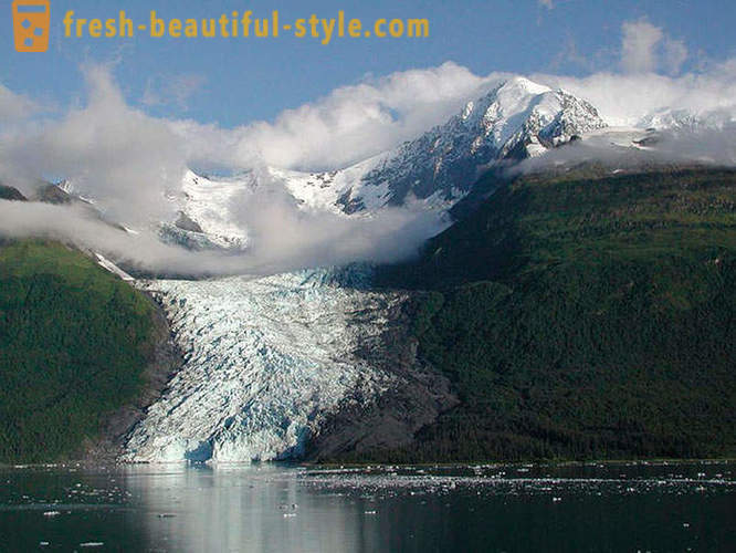Glacier Bay National Park i Alaska