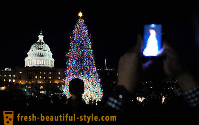 Holiday Lights 2012