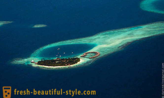 Flying over Maldiverne med vandflyver