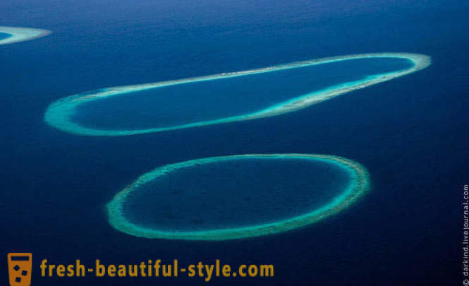 Flying over Maldiverne med vandflyver