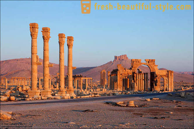 Palmyra - en stor by i ørkenen