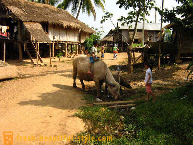 GeoFresher - Hvordan til at leve i Laos