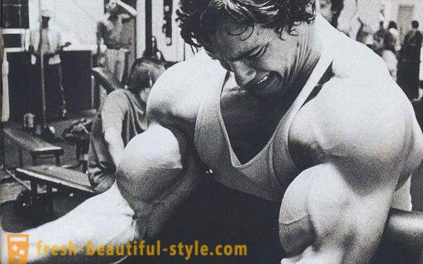 Workout biceps. Programmet for biceps træning