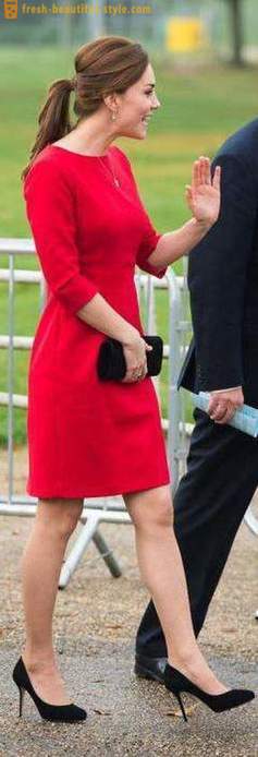Rød kjole-tilfælde: den bedste kombination, især udvælgelsen og anbefaling