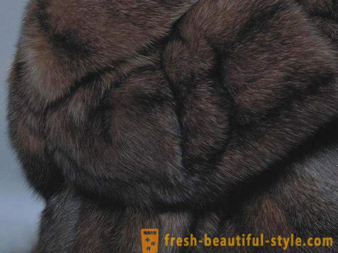 Hvordan at skelne mellem pelse fra zobel pels mår?
