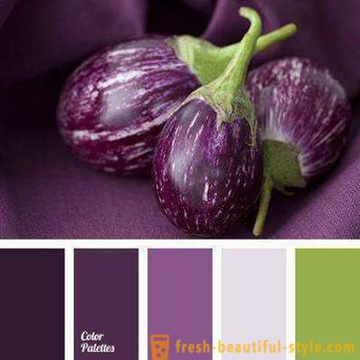 Farven på aubergine i tøj: hvad at kombinere?