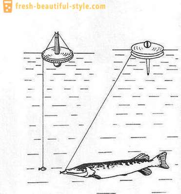 Fangst gedde cirkel: Funktionerne i metoden. Gedde fiskeri på cirklerne på floden, på søen