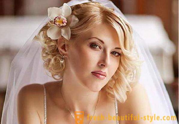Bryllup frisure for medium hår med et slør med deres hænder (foto)