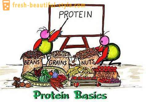Hvad er proteiner? Hvem og hvordan man tager protein