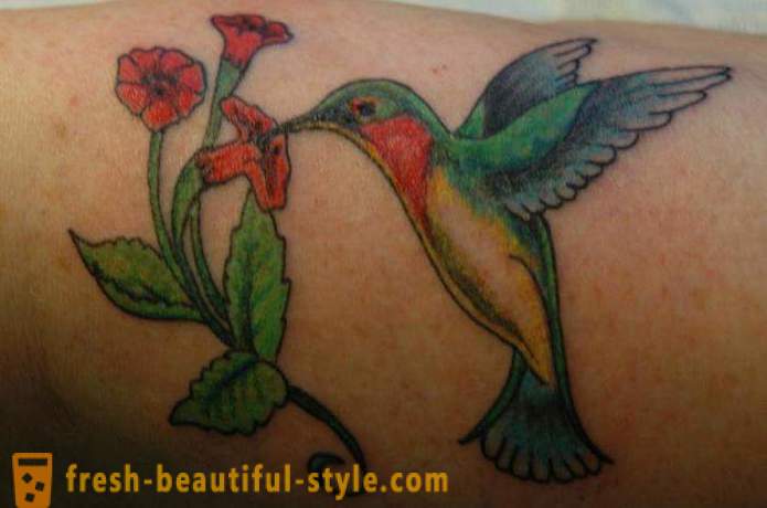Hummingbird tatovering - et symbol på vitalitet og energi