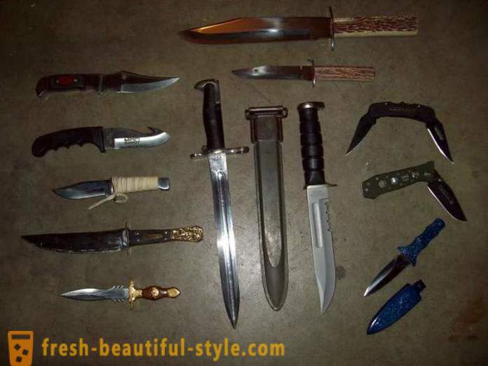 De vigtigste typer af knive. Typer af folde knive