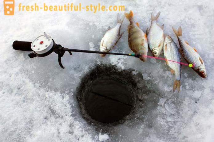 Roach fiskeri om vinteren. Tackles til fange skalle vinter