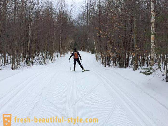Sådan vælger ski til skøjteløb kursus: tips til begyndere