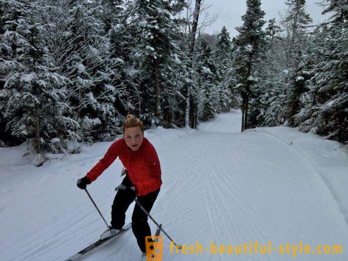 Sådan vælger ski til skøjteløb kursus: tips til begyndere