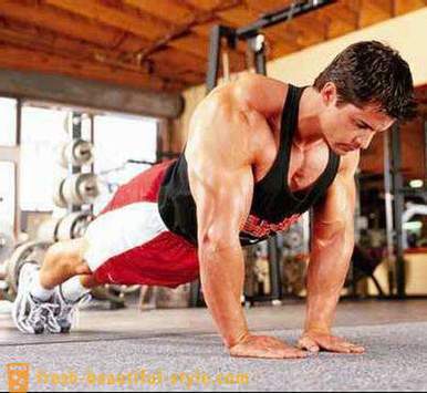 Hvilke muskler arbejder med push-ups. Hvilke muskler arbejder med Dips
