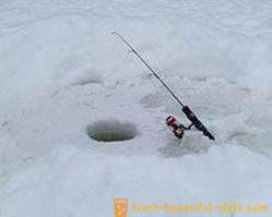 Spændende fiskeri efter karper i vinteren